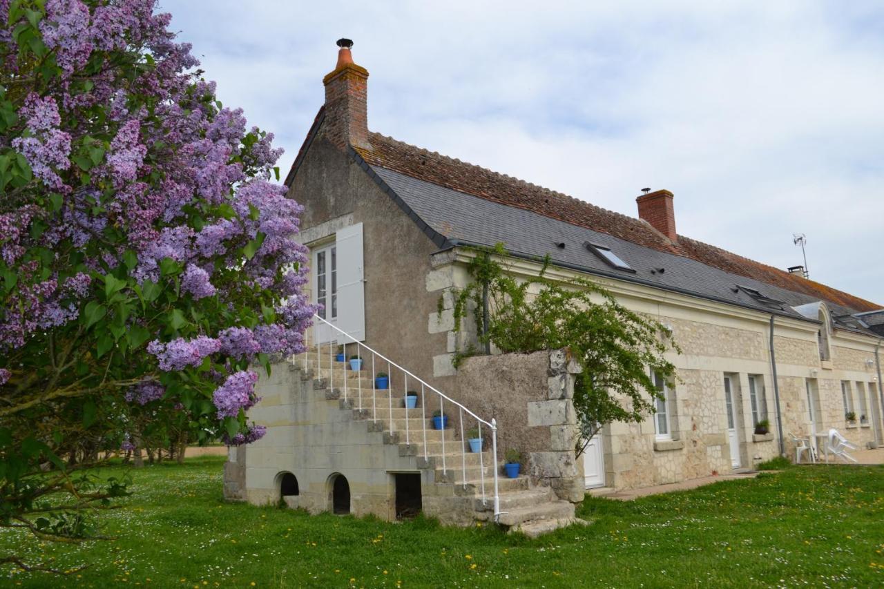 Escale A Villeperdue Chambre Hellulaug Saint-Epain Bagian luar foto
